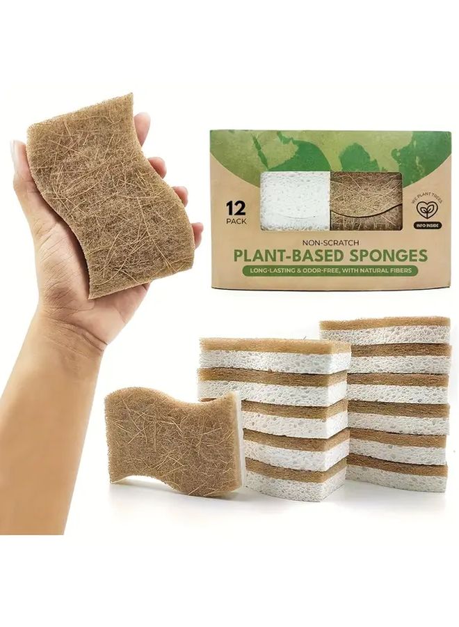 Natural Cellulose Coconut Kitchen Sponge 12pcs for Dishes and Scrubbing - Image 1