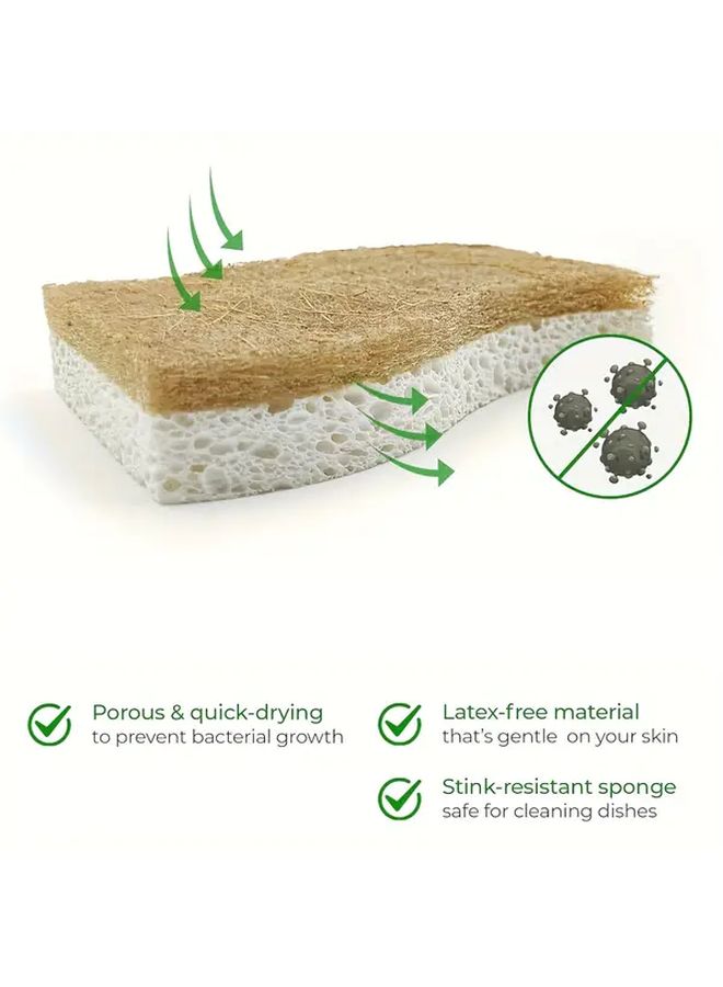 Natural Cellulose Coconut Kitchen Sponge 12pcs for Dishes and Scrubbing - Image 4