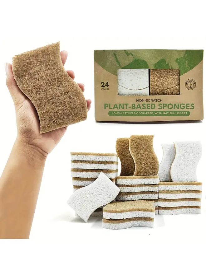 Natural Cellulose Coconut Kitchen Sponge 12pcs for Dishes and Scrubbing - Image 2