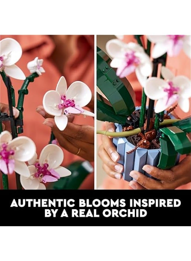 Orchid Set for Adults - Collectible Model Building with Fake Flowers, Creative Hobbies and Gift Ideas for Him and Her - Multicolor  - Image 3