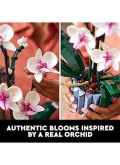 DURKU Orchid Set for Adults - Collectible Model Building with Fake Flowers, Creative Hobbies and Gift Ideas for Him and Her - Multicolor  - Image 4