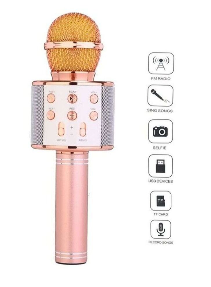 Portable Wireless Handheld Karaoke Microphone With Bluetooth Speaker WS-858  - Image 1