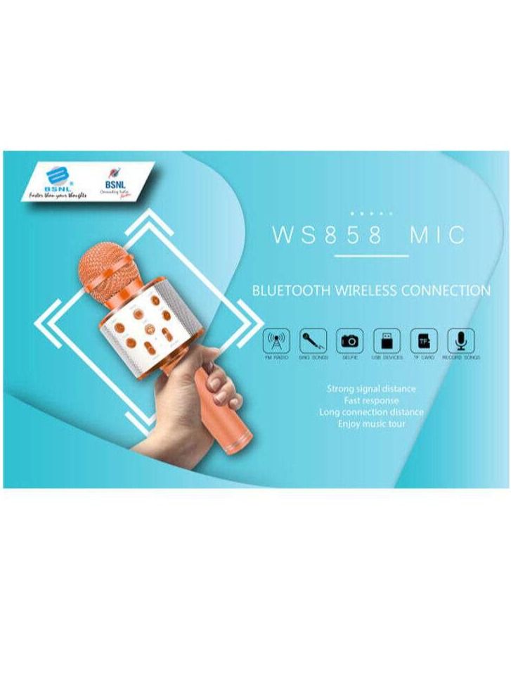 Portable Wireless Handheld Karaoke Microphone With Bluetooth Speaker WS-858  - Image 2