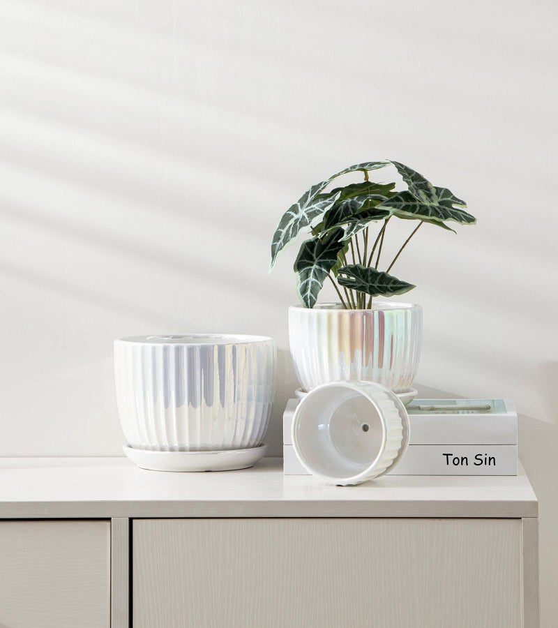 Ton Sin White Plant Pots,Pearl Gold Ceramic Flower Pots 4"+5"+6" Inch Indoor Succulent Pot with Drainage Hole - Decorative Orchid Pots and Herb Pots Set of 3 - Image 4