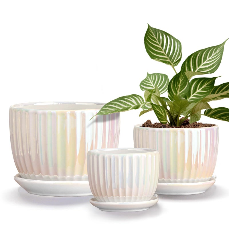 Ton Sin White Plant Pots,Pearl Gold Ceramic Flower Pots 4"+5"+6" Inch Indoor Succulent Pot with Drainage Hole - Decorative Orchid Pots and Herb Pots Set of 3 - Image 1