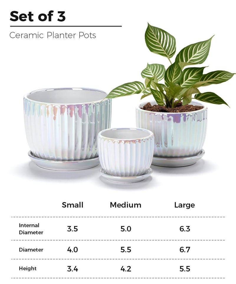 Ton Sin White Plant Pots,Pearl Gold Ceramic Flower Pots 4"+5"+6" Inch Indoor Succulent Pot with Drainage Hole - Decorative Orchid Pots and Herb Pots Set of 3 - Image 2