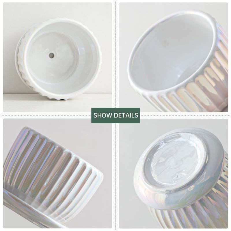 Ton Sin White Plant Pots,Pearl Gold Ceramic Flower Pots 4"+5"+6" Inch Indoor Succulent Pot with Drainage Hole - Decorative Orchid Pots and Herb Pots Set of 3 - Image 3