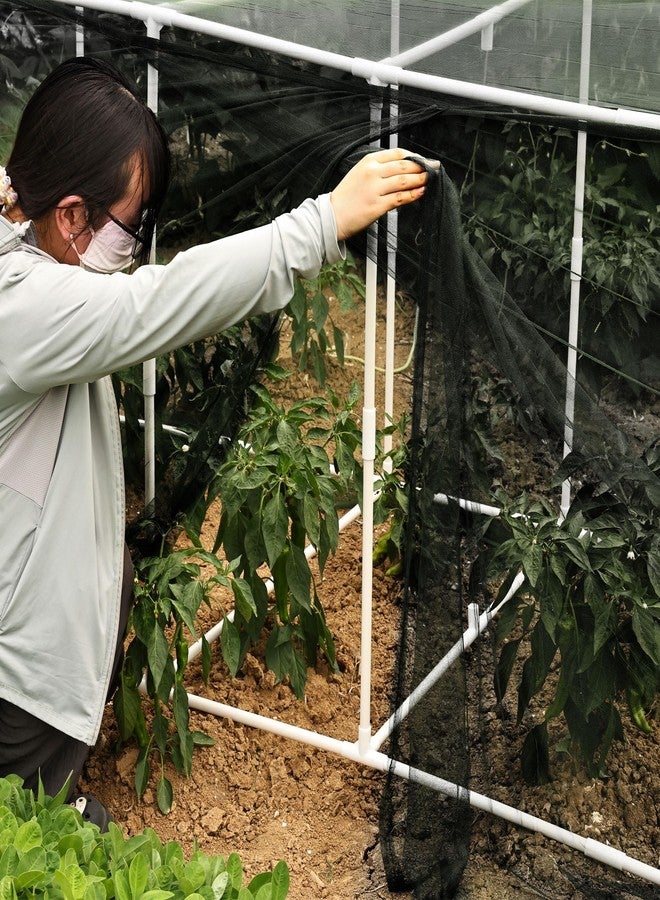 warmfarm 72 * 33 * 30 in Detachable Crop Cages for Garden, Plant Protection Tent with Garden Netting for Vegetables Fruits Flowers,Mesh Plant Covers for Outdoors (72 * 33 * 30 in) - Image 5