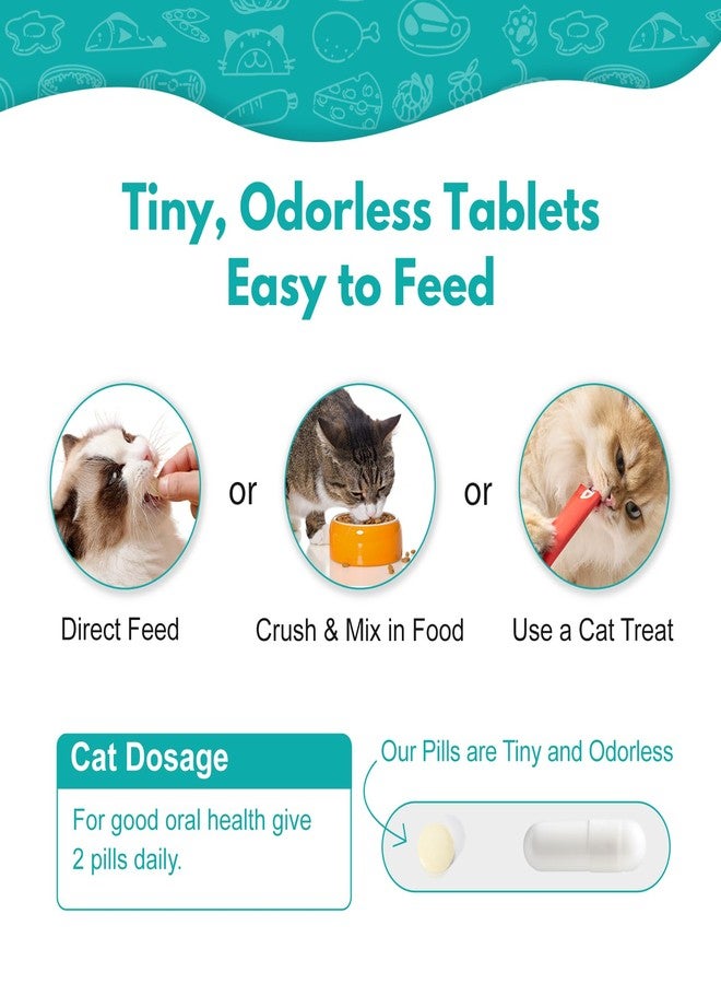diytoolsman Cat Dental Care, Bad Breath, Stomatitis & Gingivitis Treatment for Cats, Cat Gum Disease Treatment, Cats Oral Health for Teeth, Gums, Mouth and Tartar, 400 Tiny Tablets - Image 5