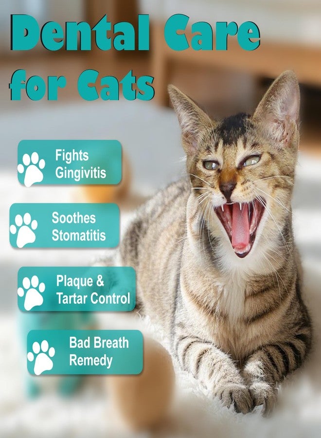 diytoolsman Cat Dental Care, Bad Breath, Stomatitis & Gingivitis Treatment for Cats, Cat Gum Disease Treatment, Cats Oral Health for Teeth, Gums, Mouth and Tartar, 400 Tiny Tablets - Image 2