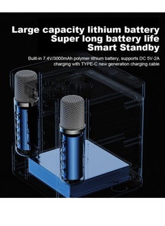 SU.YOSD YS 203 Portable Wireless Bluetooth Karaoke Speaker Stereo Bass Dual Microphone Black  - Image 4