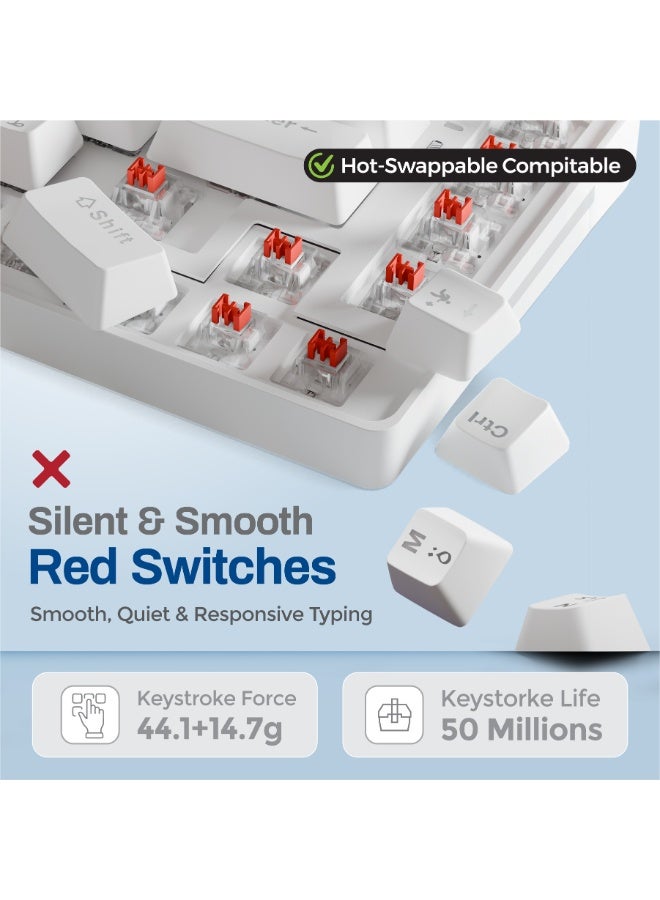 جيمنج جامبلر لوحة مفاتيح ميكانيكية Gaming Gambler 75% - ثلاثية الأوضاع (سلكية/بلوتوث/2.4 جيجاهرتز)، مفتاح أحمر، قابلة للتبديل السريع، إضاءة خلفية RGB، أغطية مفاتيح عربية/إنجليزية (الأبيض الإنجريدي)) - Image 5