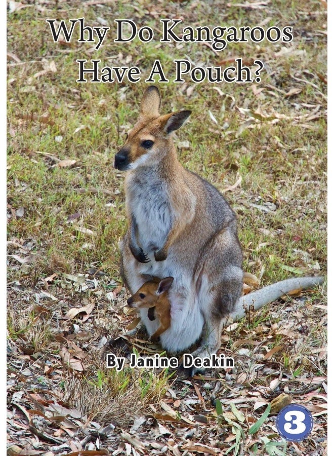 Why Do Kangaroos Have A Pouch?  - Image 1