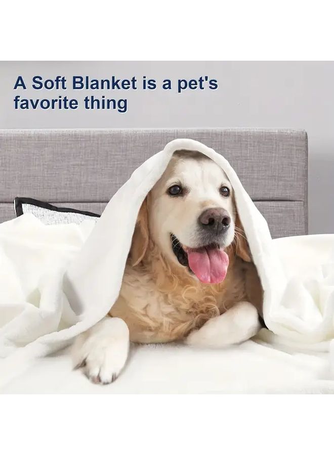 Soft Cozy Plush Fleece Throw Blanket White 78 74 X 90 55 Inch Solid Shag Minky Lightweight Fuzzy Flannel Blanket For Bedroom Luxury Washable Warm Velvet Blanket For Couch Sofa Pet Breathable - Image 4