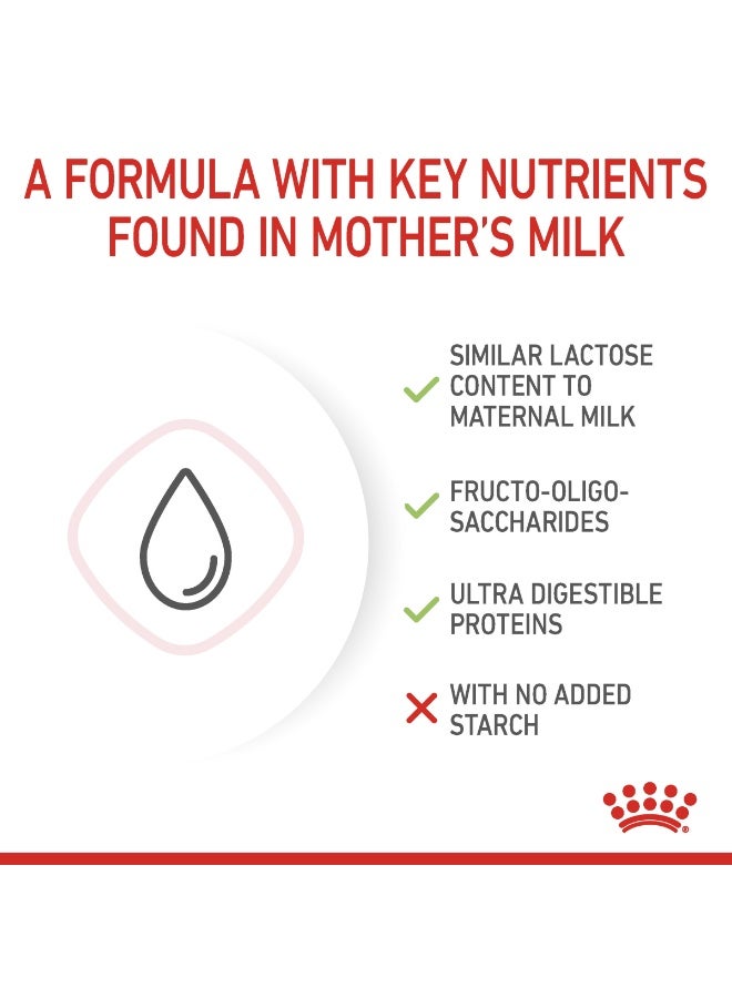 رويال كانين تغذية صحة القطط - حليب للقطط الصغيرة 300 جرام - Image 3