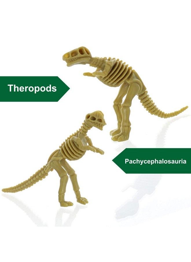 GiftExpress 24 Pcs Dinosaur Fossil Skeletons 3.7" Assorted Dino Bones Figures Science Play Dinos Fossil Toys  - Image 4