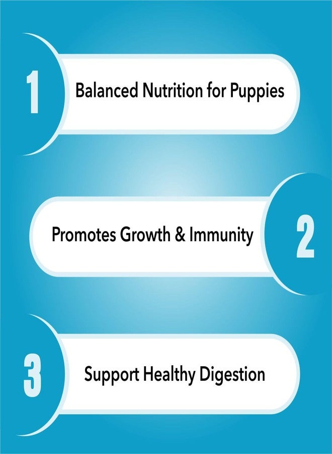 Purepet Puppy Dry Dog Food 1kg | Chicken & Vegetable Flavour | Hairball Protection | Heart Care with Taurine | Skin Health - Image 3
