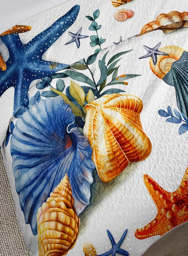 UEVBF Summer Beach Quilted Set Starfish Seashell Conch Bedding Sets King Size,Ocean Beach Themed Quilt for Kids Girls Boys Room Decor,Lightweight Coastal Quilts with 2 Pillowcases. - Image 4
