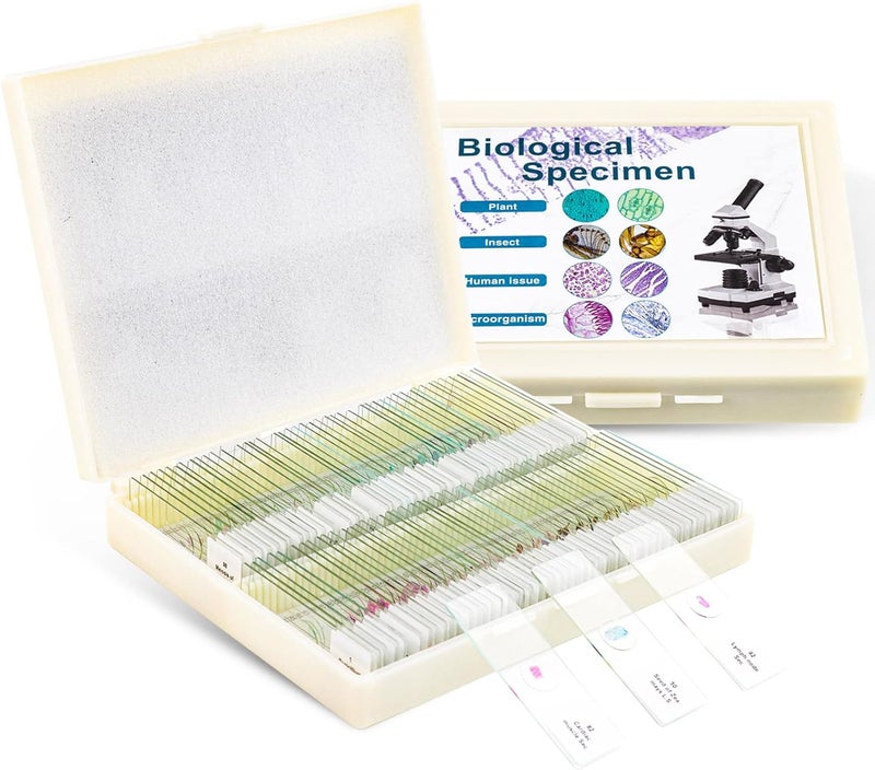 USCAMEL 100 Prepared Microscope Slides with Specimens for Kids Adults - Bacterium, Fungus, Human Tissues, Mitosis, Plants, Insects, Animals Cells Samples for Biological Science Lab, School Students - Image 1