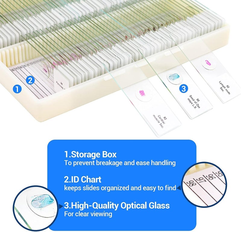 USCAMEL 100 Prepared Microscope Slides with Specimens for Kids Adults - Bacterium, Fungus, Human Tissues, Mitosis, Plants, Insects, Animals Cells Samples for Biological Science Lab, School Students - Image 4