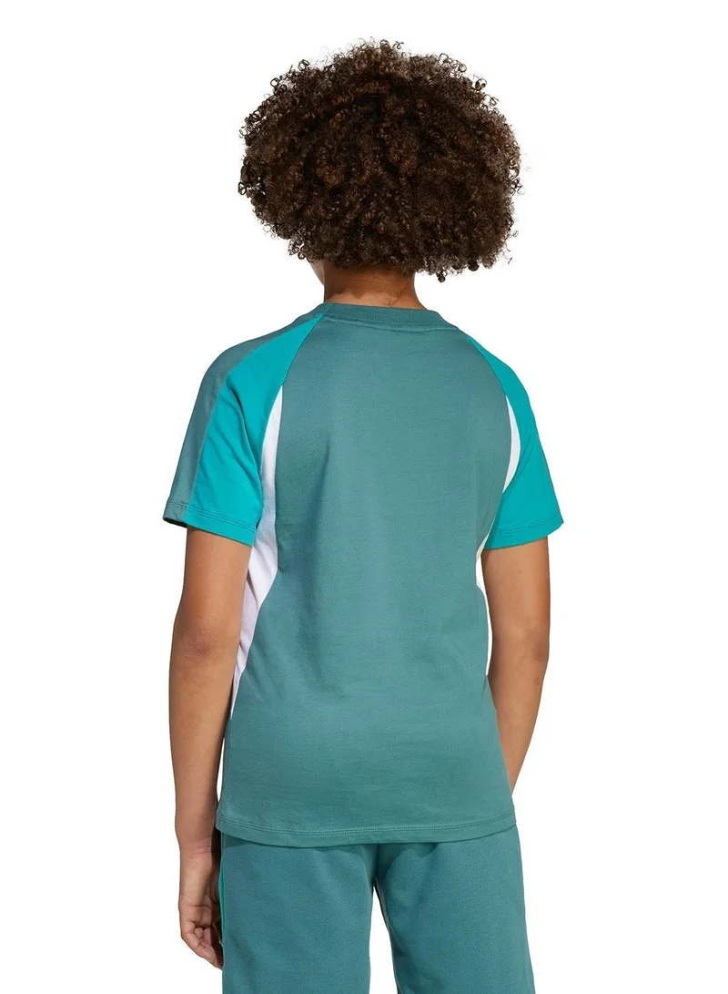 Adidas Youth Seasonal Essential Colorblock T-Shirt