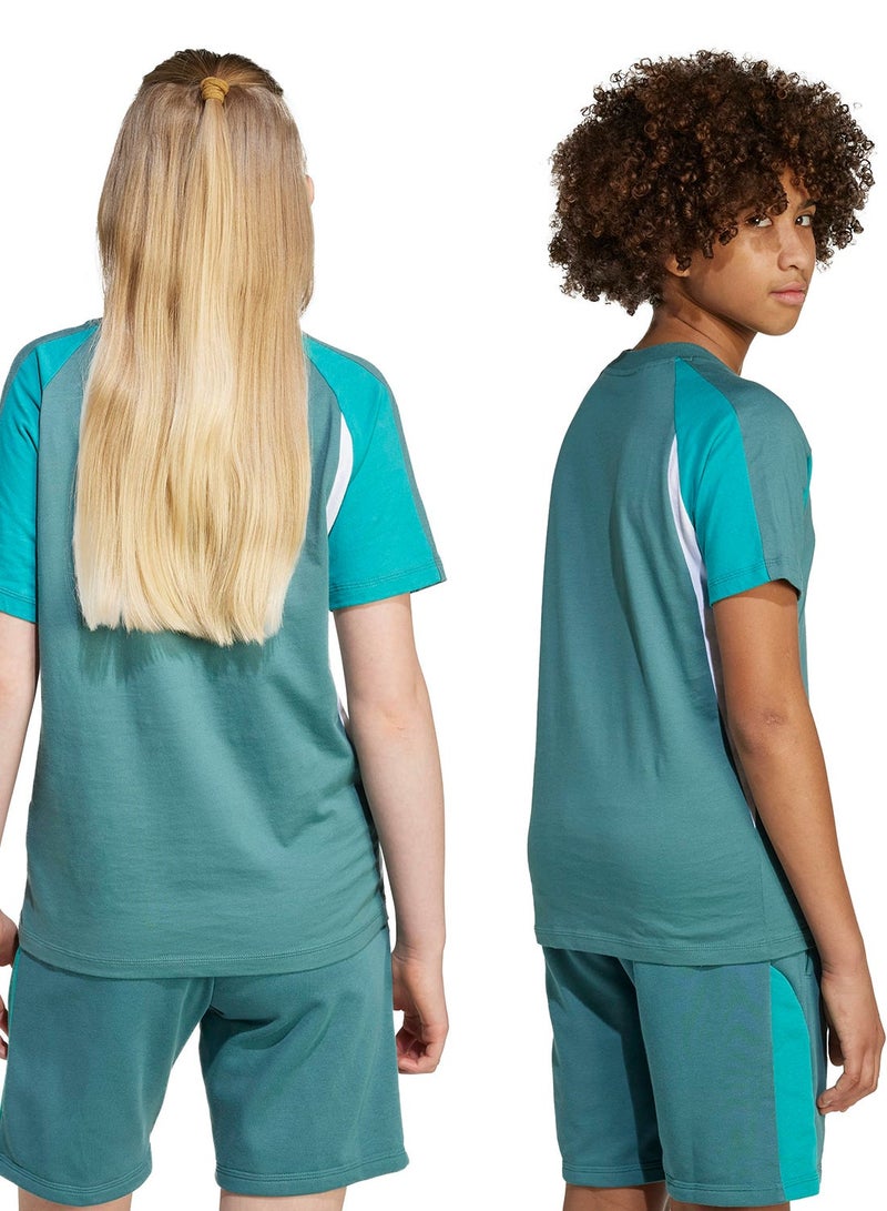 Adidas Youth Seasonal Essential Colorblock T-Shirt - Image 5