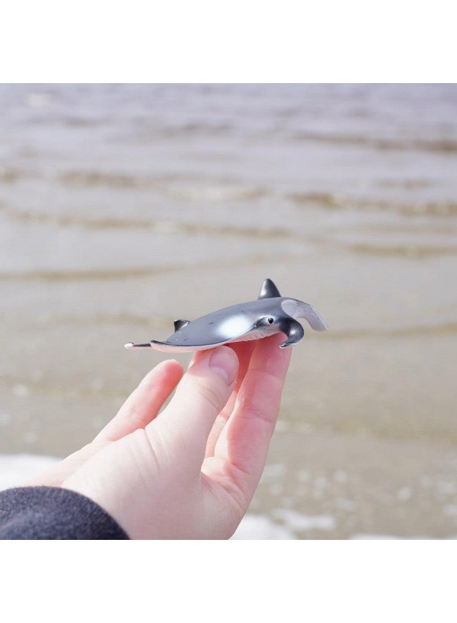Safari Ltd. Safari Ltd. Manta Ray Figurine - Realistic 4" Sea Creature Figure - Educational Toy for Boys, Girls, and Kids Ages 3+ - Image 5