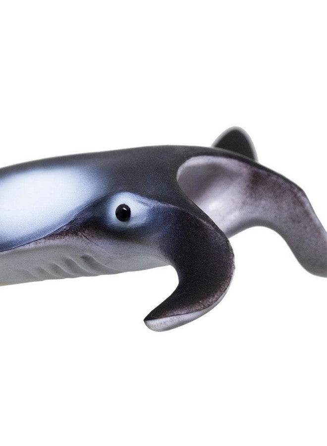 Safari Ltd. Safari Ltd. Manta Ray Figurine - Realistic 4" Sea Creature Figure - Educational Toy for Boys, Girls, and Kids Ages 3+ - Image 4