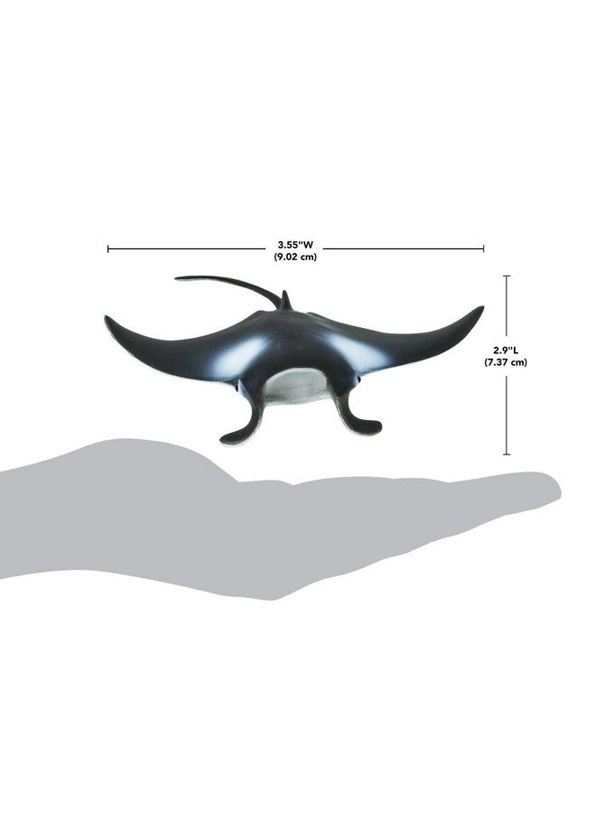 Safari Ltd. Safari Ltd. Manta Ray Figurine - Realistic 4" Sea Creature Figure - Educational Toy for Boys, Girls, and Kids Ages 3+ - Image 3
