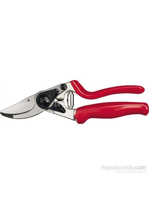 7 Pruning Shears Right