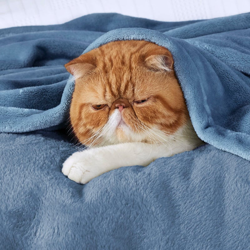 Bedsure GentleSoft Soft Lightweight Plush Fleece Blanket Large King Size (275 cm x 230 cm), Microfiber, Washed Blue color - Image 2