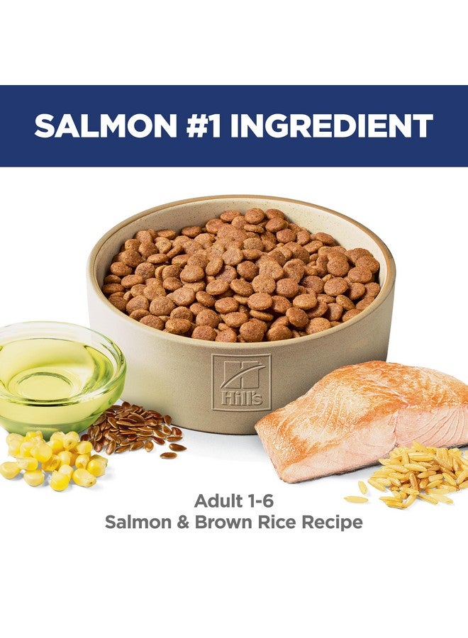 هيلز ساينس دايت للبالغين من عمر 1 إلى 6 سنوات، تغذية ممتازة للبالغين من عمر 1 إلى 6 سنوات، طعام جاف للكلاب، سمك السلمون والأرز البني، كيس 4.5 رطل - Image 2