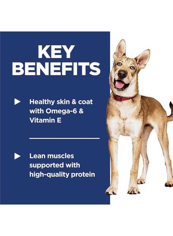 هيلز ساينس دايت للبالغين من عمر 1 إلى 6 سنوات، تغذية ممتازة للبالغين من عمر 1 إلى 6 سنوات، طعام جاف للكلاب، سمك السلمون والأرز البني، كيس 4.5 رطل - Image 3