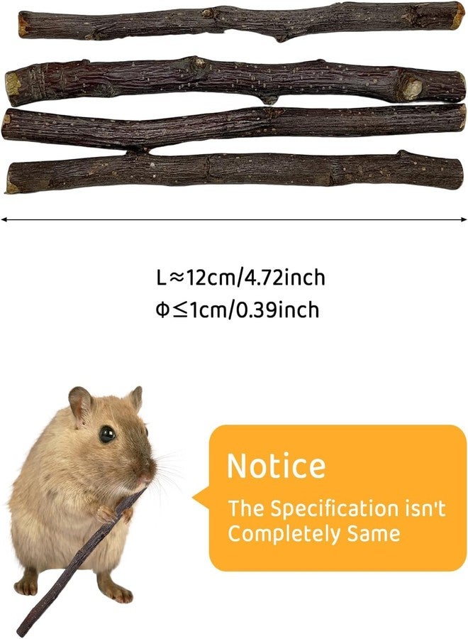 ANDES Natural Apple Sticks Small Animals Molar Wood Treats Toys Chinchilla Guinea Pig Hamster Rabbit Gerbil Parrot Bunny and Small Animals Chew Stick Toys Treats (Premium Apple Sticks -10.6oz) - Image 2