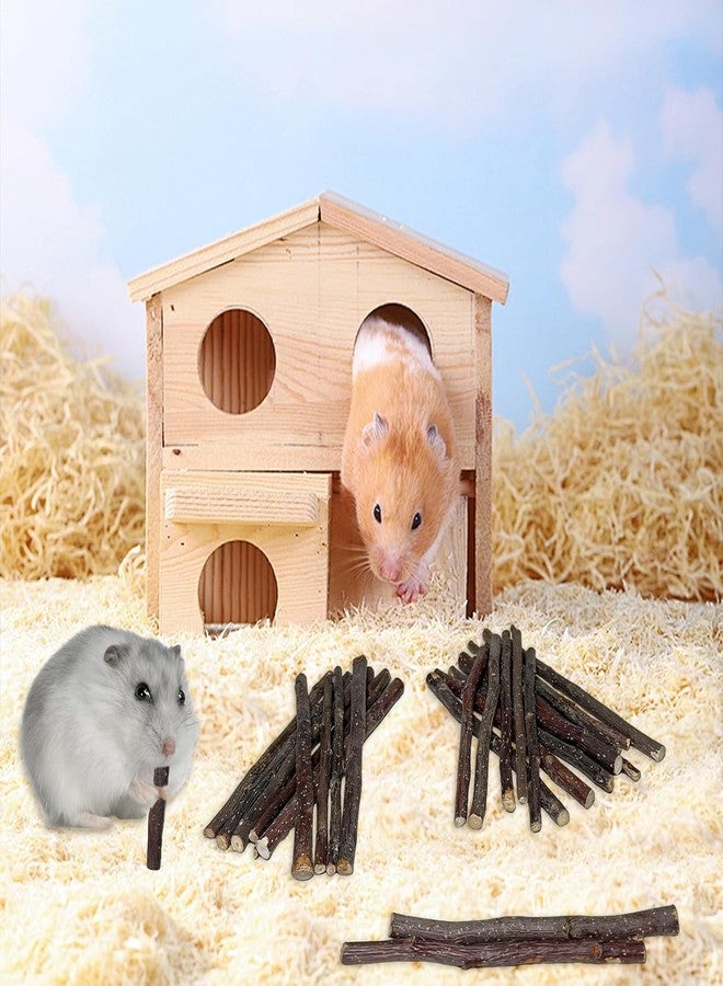 ANDES Natural Apple Sticks Small Animals Molar Wood Treats Toys Chinchilla Guinea Pig Hamster Rabbit Gerbil Parrot Bunny and Small Animals Chew Stick Toys Treats (Premium Apple Sticks -10.6oz) - Image 5