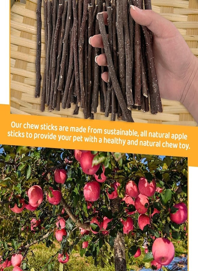ANDES Natural Apple Sticks Small Animals Molar Wood Treats Toys Chinchilla Guinea Pig Hamster Rabbit Gerbil Parrot Bunny and Small Animals Chew Stick Toys Treats (Premium Apple Sticks -10.6oz) - Image 4