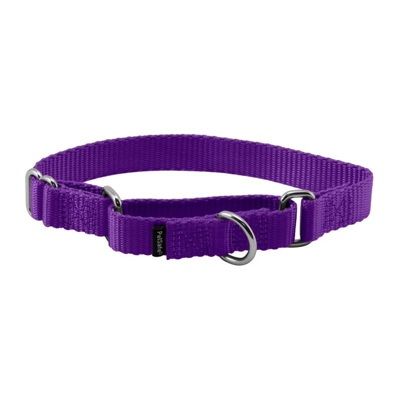 PetSafe Adjustable Martingale Collar - Only Tightens When Dogs Pull, Prevents Slipping Out - Helps with Strong Pullers, Increased Control - Alternative to Choke Collar - 3/4", Small, Deep Purple - Image 1