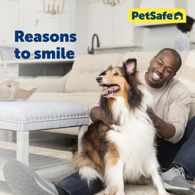 PetSafe Adjustable Martingale Collar - Only Tightens When Dogs Pull, Prevents Slipping Out - Helps with Strong Pullers, Increased Control - Alternative to Choke Collar - 3/4", Small, Deep Purple - Image 2