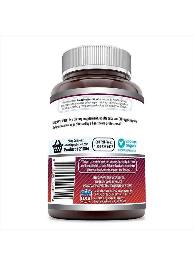 Amazing Nutrition Amazing Formulas Quercetin 500mg Veggie Capsules Supplement | Non-GMO | Gluten Free | Supports Overall Health & Well Being (240 Count) - Image 2