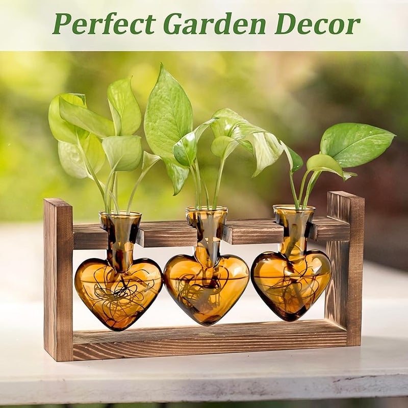Lifecapido Heart Shaped Propagation Stations, Plant Terrarium with Wooden Stand, Plant Propagation Station for Hydroponics Plants Office Garden Home Decor, Gifts for Women Plant Lover (3 Vases, Amber) - Image 5