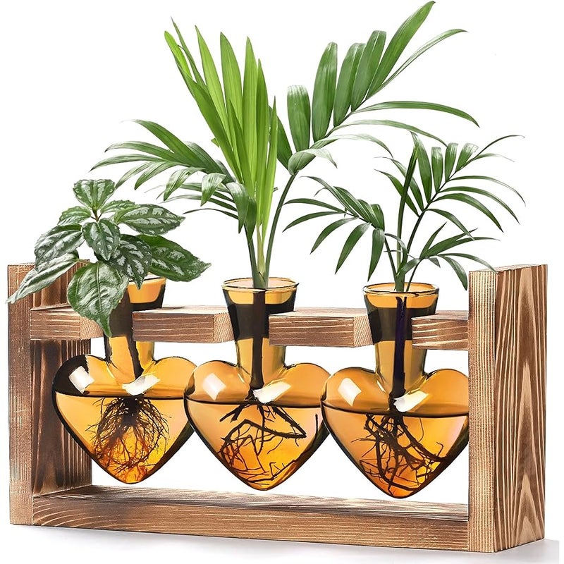 Lifecapido Heart Shaped Propagation Stations, Plant Terrarium with Wooden Stand, Plant Propagation Station for Hydroponics Plants Office Garden Home Decor, Gifts for Women Plant Lover (3 Vases, Amber) - Image 1