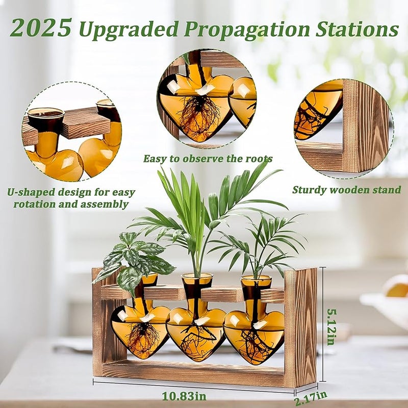 Lifecapido Heart Shaped Propagation Stations, Plant Terrarium with Wooden Stand, Plant Propagation Station for Hydroponics Plants Office Garden Home Decor, Gifts for Women Plant Lover (3 Vases, Amber) - Image 2