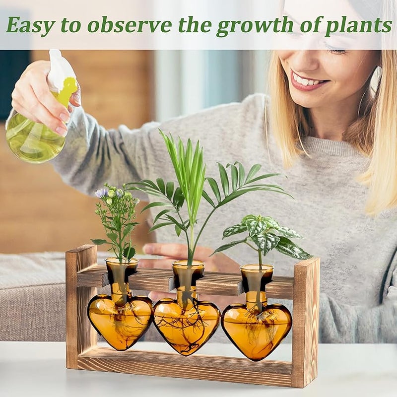 Lifecapido Heart Shaped Propagation Stations, Plant Terrarium with Wooden Stand, Plant Propagation Station for Hydroponics Plants Office Garden Home Decor, Gifts for Women Plant Lover (3 Vases, Amber) - Image 3