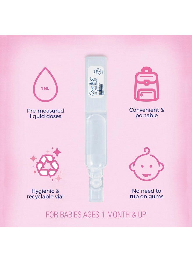 Boiron Camilia Teething Drops for Daytime and Nighttime Relief of Painful or Swollen Gums and Irritability in Babies - 30 Count - Image 3