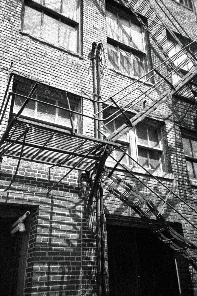 Ilford 1887710 DELTA 3200 Professional, Black and White Print Film, 135 (35 mm), ISO 3200, 36 Exposures - Image 5