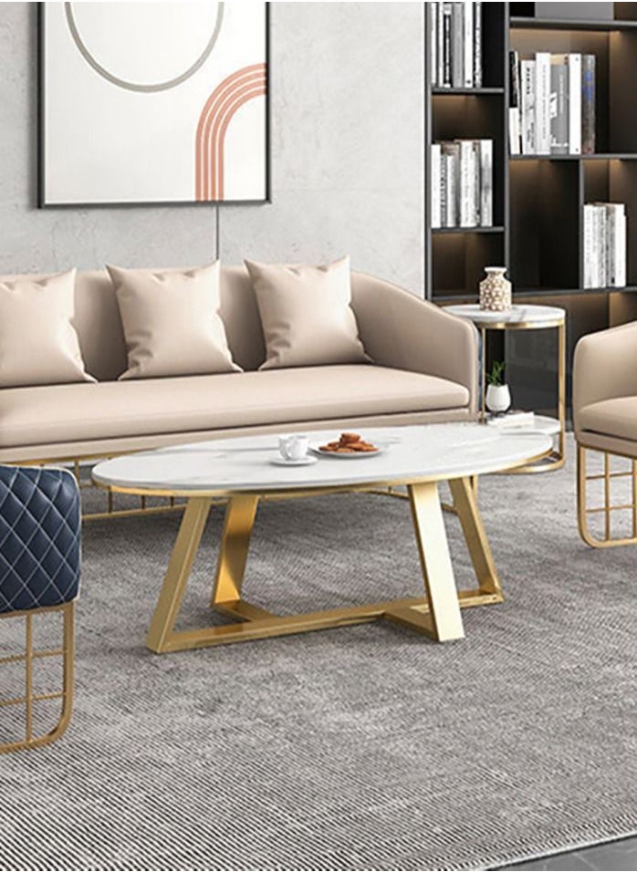 Maple Home  Coffee Table Sofa Side Table Modern Golden Frame Circular and Marble Pattern Living Room Apartment Furniture 60*120cm - pzsku/ZDD3C125353646A216AB9Z/45/_/1684916020/7989cb09-6ac1-4411-8974-8de8bcd811fb