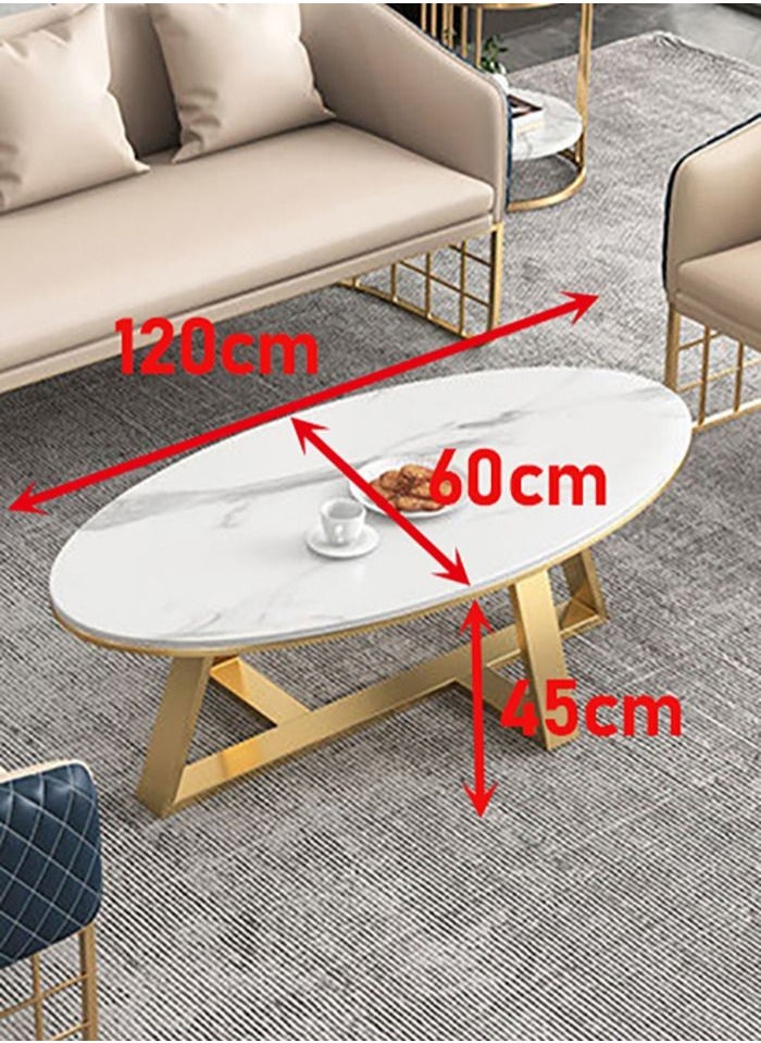 Maple Home  Coffee Table Sofa Side Table Modern Golden Frame Circular and Marble Pattern Living Room Apartment Furniture 60*120cm - pzsku/ZDD3C125353646A216AB9Z/45/_/1684916027/5397ff0c-1df8-4255-b7e9-412a7b066a61