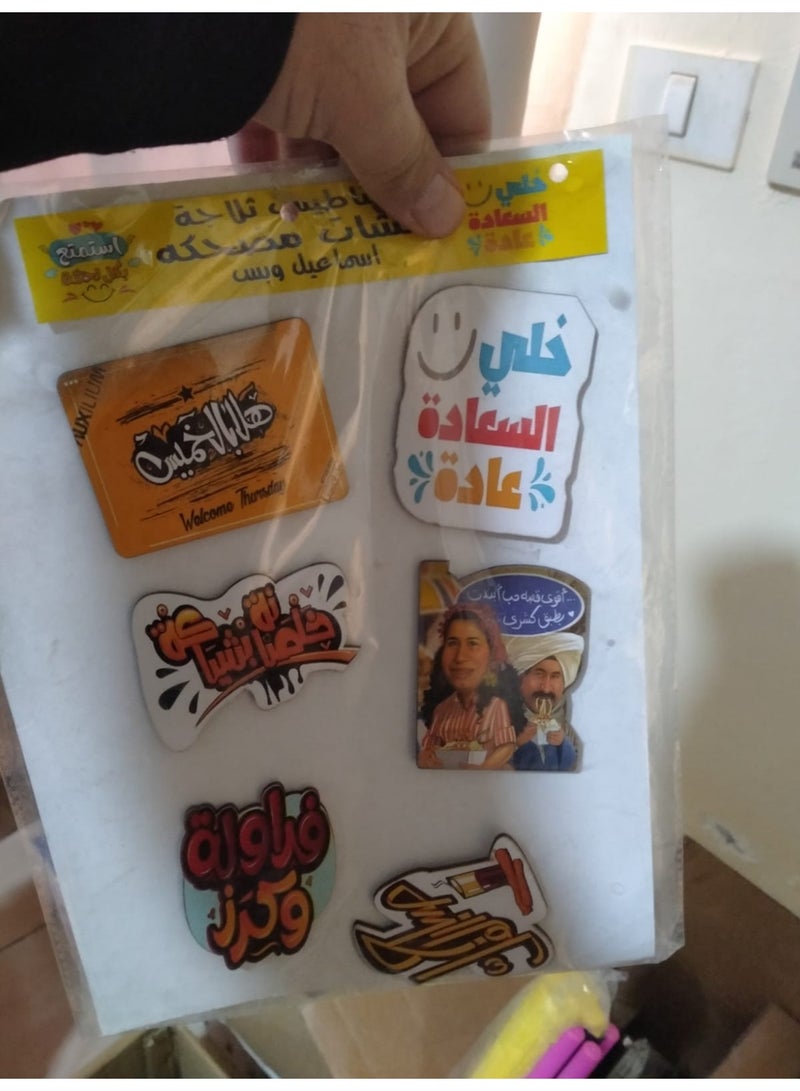 Large 6-piece refrigerator magnet set