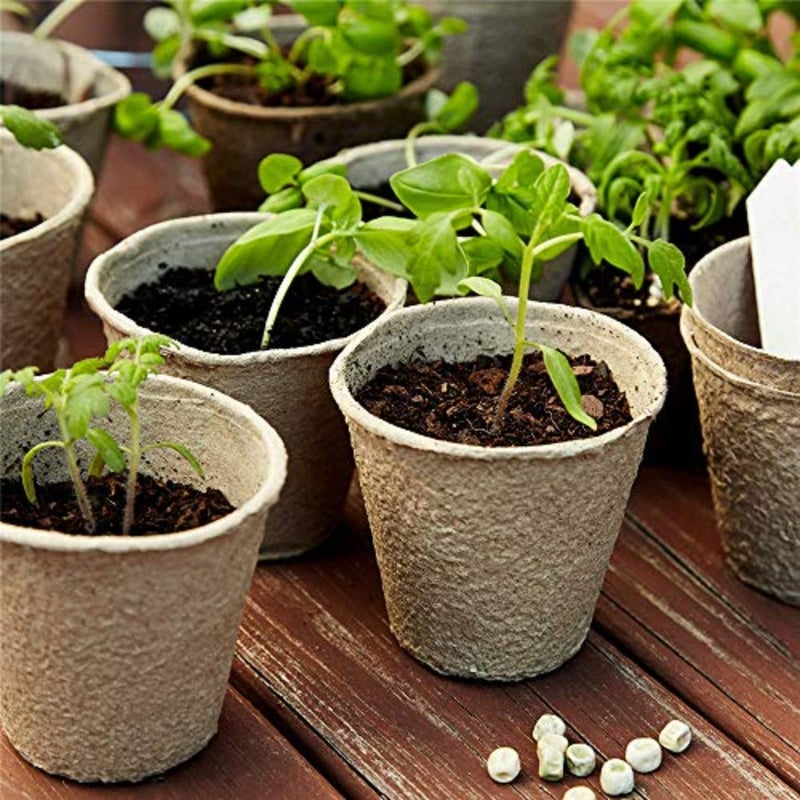 100 أوعية زراعة البذور، صديقة للبيئة وعضوية 3 أوعية من الخث، مادة مبكرة قابلة للتحلل لزراعة بذور الخضروات، حدائق الأعشاب، الزراعة المستدامة، الزراعة المنزلية، هدايا للبستنة - Image 4