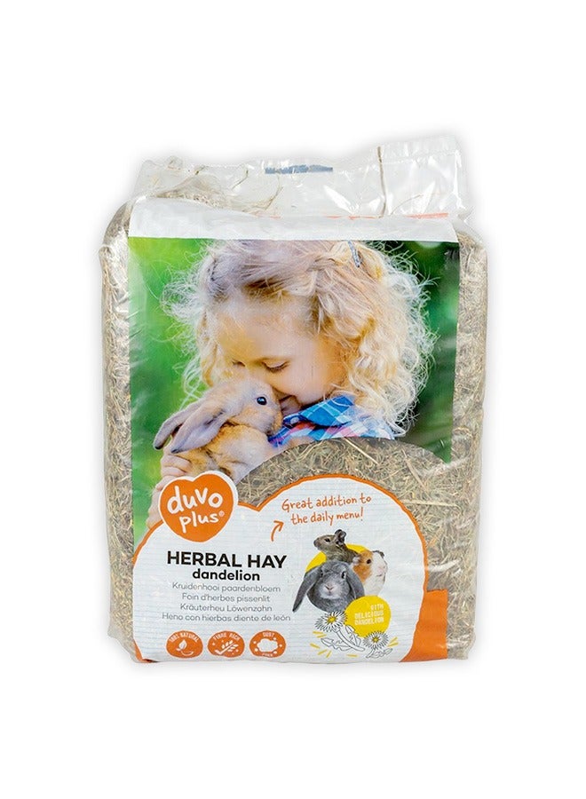 Duvo Herbal Hay Dandelion - 500 GM - Image 1